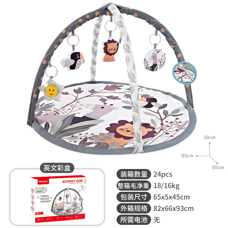 Baby Play Gym with Ocean Balls and Activity Fence