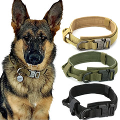 Rugged Tactical Dog Collar