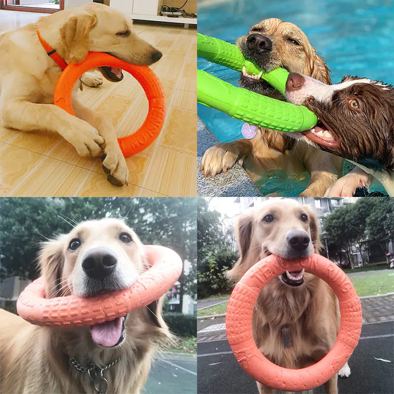 Interactive EVA Training Ring – Durable Pull Toy for Dogs, Exercise & Tug-of-War (Small/Large, Red/Green/Orange)