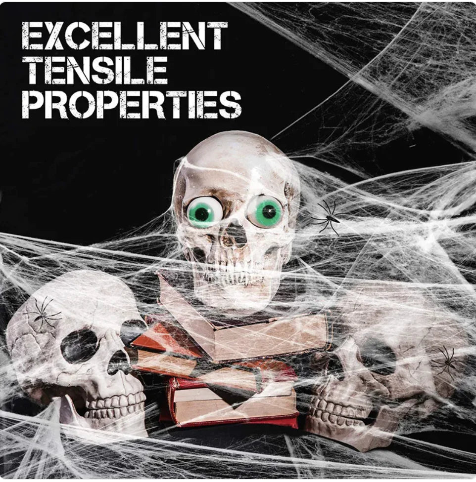 Halloween Spider Web