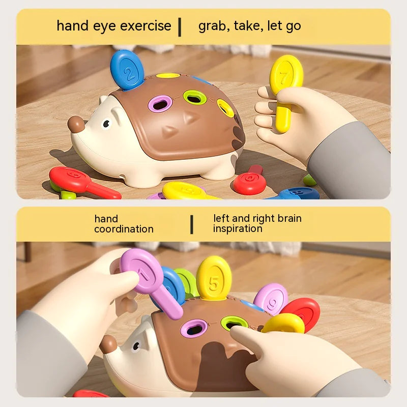 Little Hedgehog Early Learning Toy – Fine Motor & Hand-Eye Coordination, Insert Music Variants (Color Box)