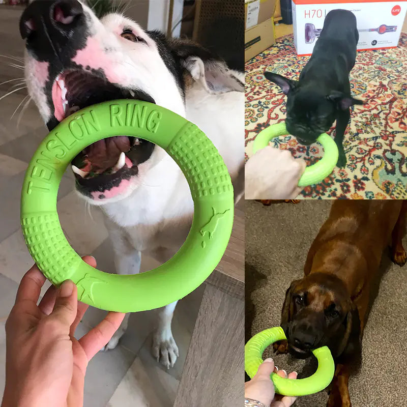 Interactive EVA Training Ring – Durable Pull Toy for Dogs, Exercise & Tug-of-War (Small/Large, Red/Green/Orange)