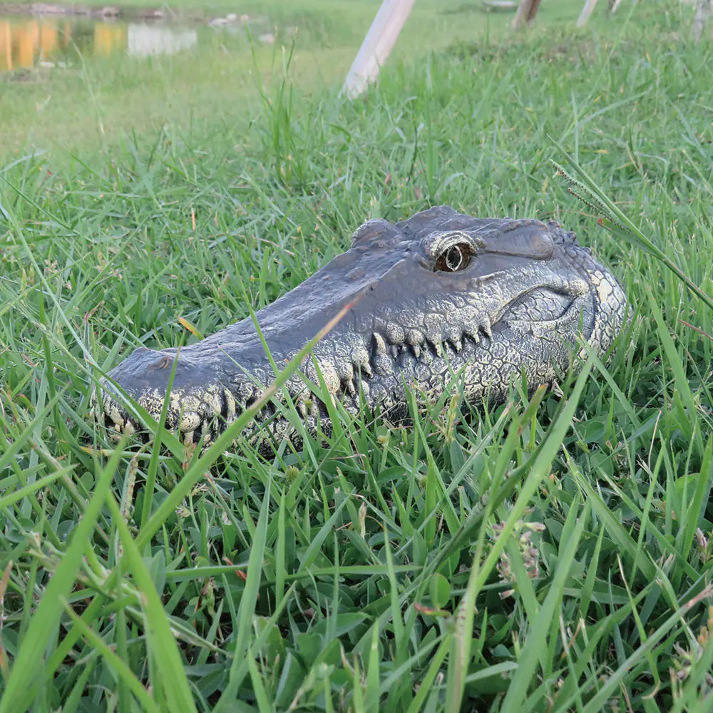 Remote Control Alligator Toy Boat