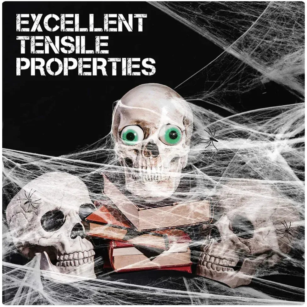 Halloween Spider Web