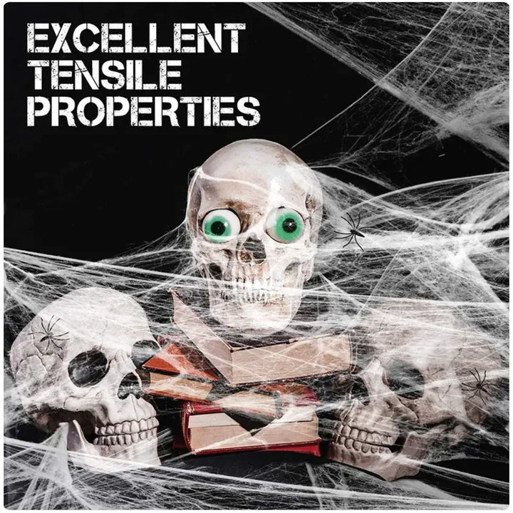 Halloween Spider Web