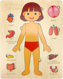 Kid's Human Body Organs Montessori Wooden Puzzles