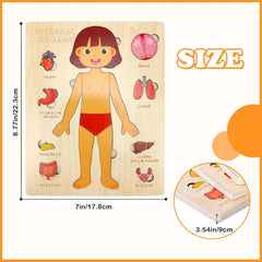Kid's Human Body Organs Montessori Wooden Puzzles