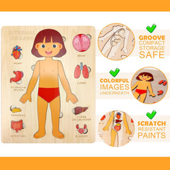 Kid's Human Body Organs Montessori Wooden Puzzles