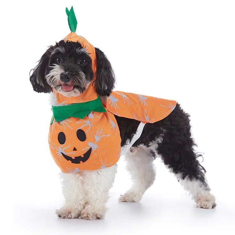 Halloween Dog Costumes - Whimsical Shoppe