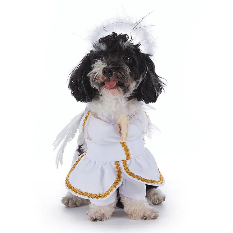 Halloween Dog Costumes - Whimsical Shoppe