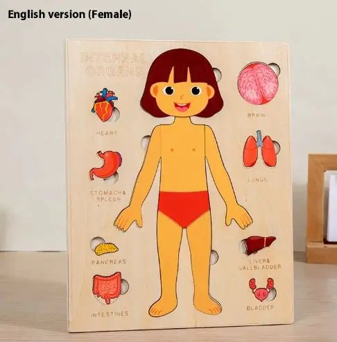 Kid's Human Body Organs Montessori Wooden Puzzles - Whimsical Shoppe