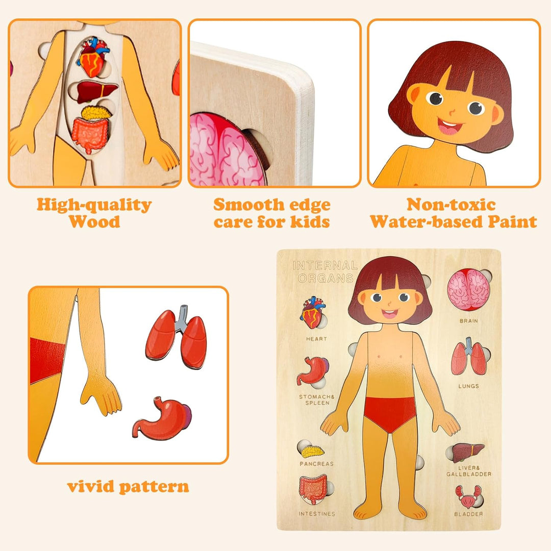 Kid's Human Body Organs Montessori Wooden Puzzles - Whimsical Shoppe