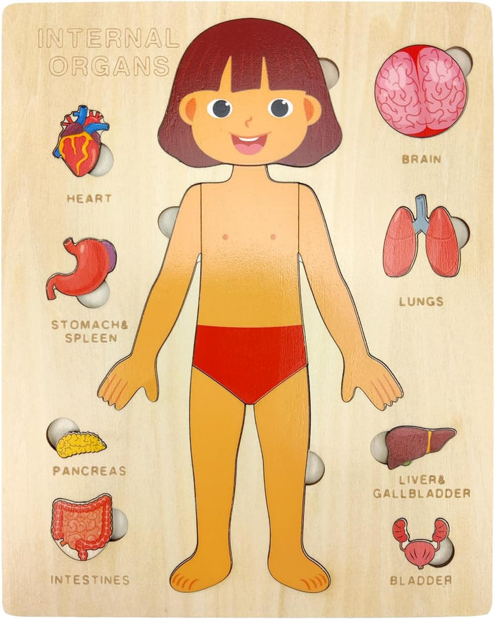 Kid's Human Body Organs Montessori Wooden Puzzles - Whimsical Shoppe