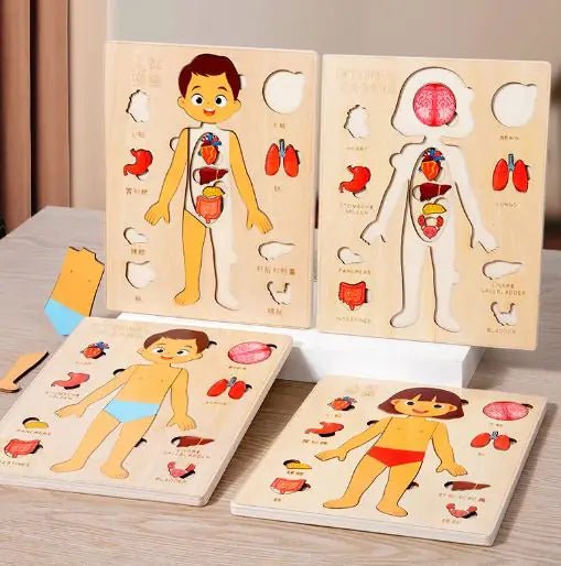 Kid's Human Body Organs Montessori Wooden Puzzles - Whimsical Shoppe