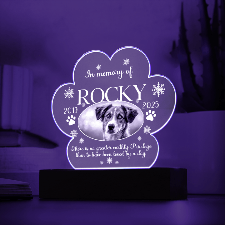 Personalized Pet Photo Paw Print Acrylic Plaque - Whimsical Shoppe