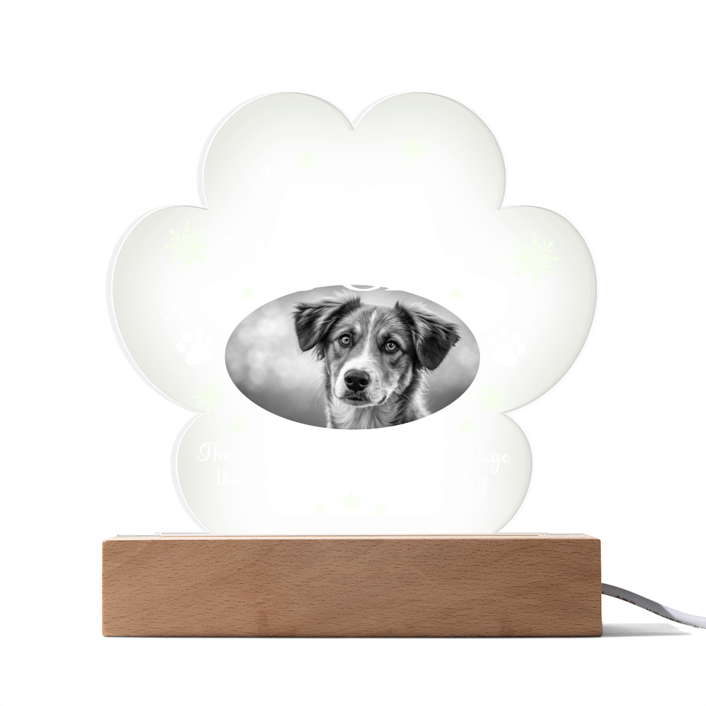 Personalized Pet Photo Paw Print Acrylic Plaque - Whimsical Shoppe